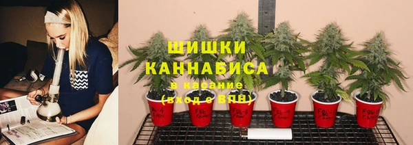 гидропоника Арсеньев