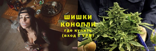 гидропоника Арсеньев