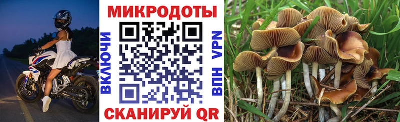 Псилоцибиновые грибы MAGIC MUSHROOMS Валдай
